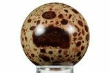 Polished Bauxite (Aluminum Ore) Sphere - Russia #354224-1